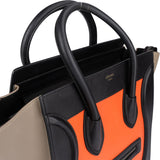 Céline Tricolor Leather Luggage Handbag