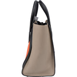 Céline Tricolor Leather Luggage Handbag