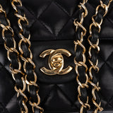Chanel Quilted Lambskin Medium Double Flap Shoulder Bag