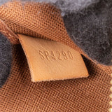 Louis Vuitton Canvas Monogram Pochette Accessoire Shoulder Bag