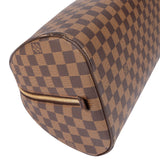 Louis Vuitton Damier Ebene Monogram Ribera Handbag