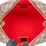 Louis Vuitton Damier Ebene Monogram Ribera Handbag