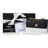 Chanel Quilted Lambskin Trendy Wallet On Chain Crossbody Bag