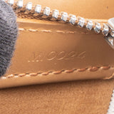 Louis Vuitton Monogram Fowler Shoulder Bag
