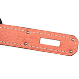 Hermès Crevette Taurillon Clemence Leather Birkin 30 Handbag