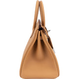 Hermès Biscuit Swift Leather Limited In And Out Birkin 25 Handbag