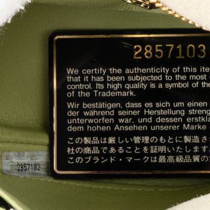 Chanel Suede Mini Mint Crossbody Bag