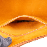 Louis Vuitton Brown Epi Leather Alma PM Handbag - vintageandkickz
