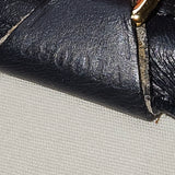 Louis Vuitton Mini Lin Monogram Josephine PM Handbag