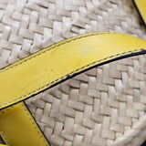 Loewe Palm Leaf Basket Raffia Small Handbag
