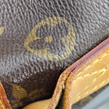 Louis Vuitton Monogram Canvas Delightful PM Shoulder Bag