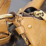 Louis Vuitton Monogram Canvas Etoile City Shoulder Bag